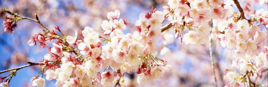 ����: 6262.com.ua