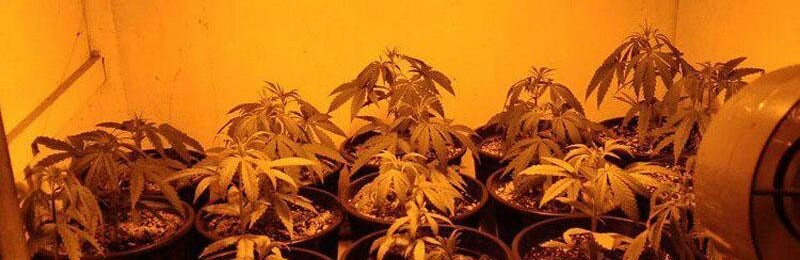  ������� ���� ��������� �������� �������� 400 ����� ������� 