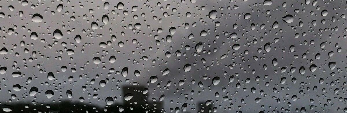  �������� ������������ ����� ����� ����������� ������� 