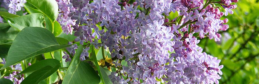 ����: 6262.com.ua