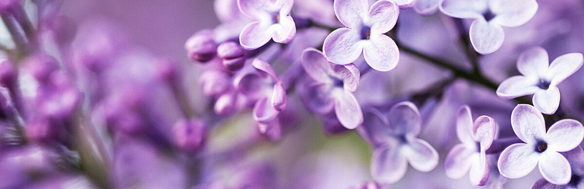  ������ �������� �������� ����� 