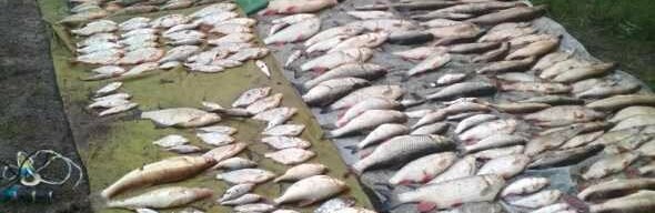  �������� ������� ��������� ���������������� ������� ��� ��� ������� 