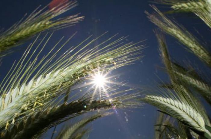  ��������� ��� ������� ������� ����� ���� 