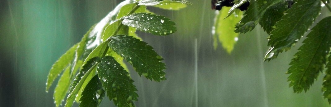 ����: 6262.com.ua