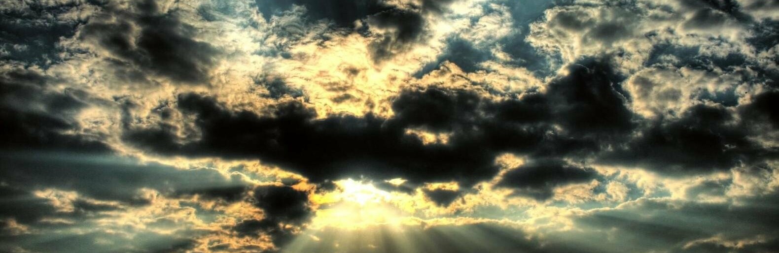  ������ ���� ������ ��������� ������ 