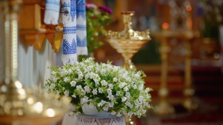  ������ �������� ��������� 