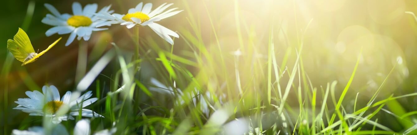  ��������� ������ ������� 