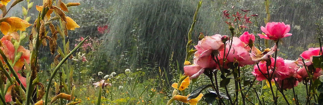 ����: 6262.com.ua