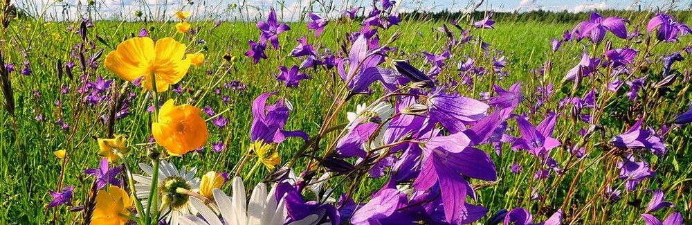 ����: 6262.com.ua