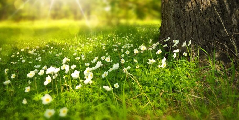  ������ ��������� ����� ������� 