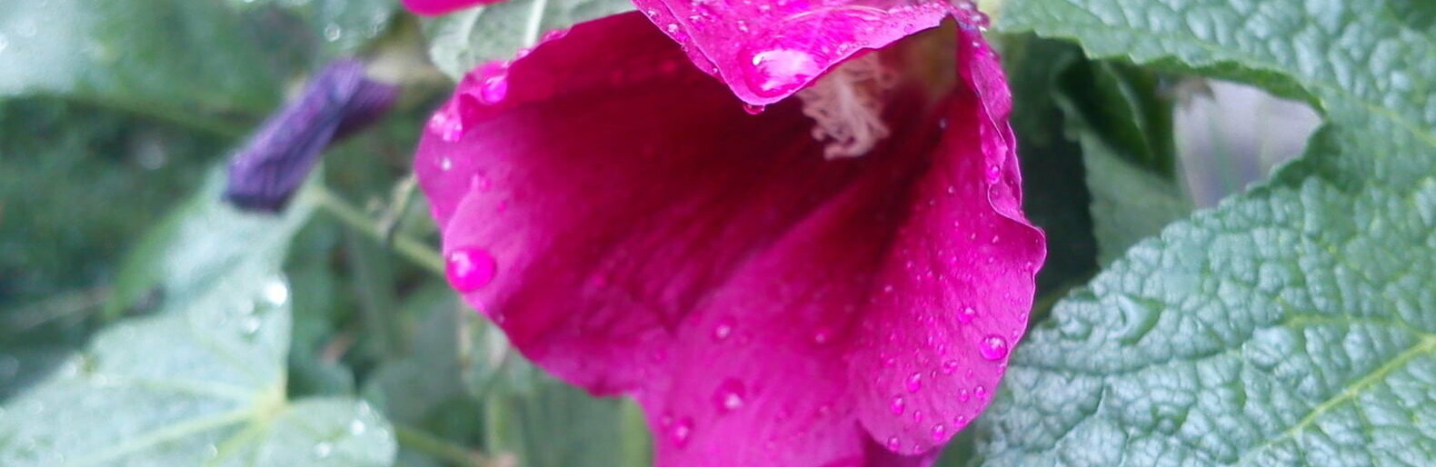  ������ ��������� �������� ����� 