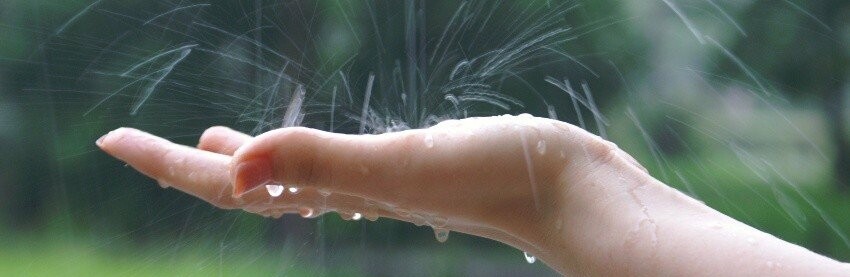  ����� ������ ������� ������������ ����� ������� 