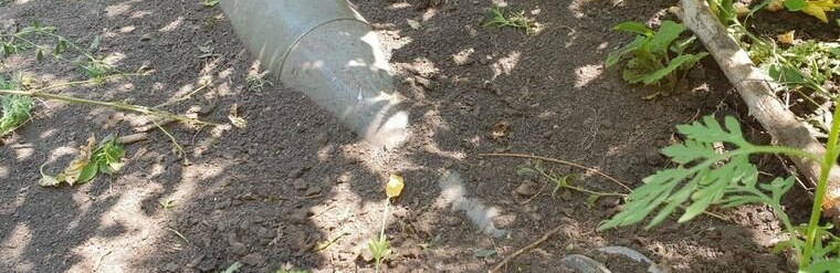  ��� ���� ������� ����������� ������� 