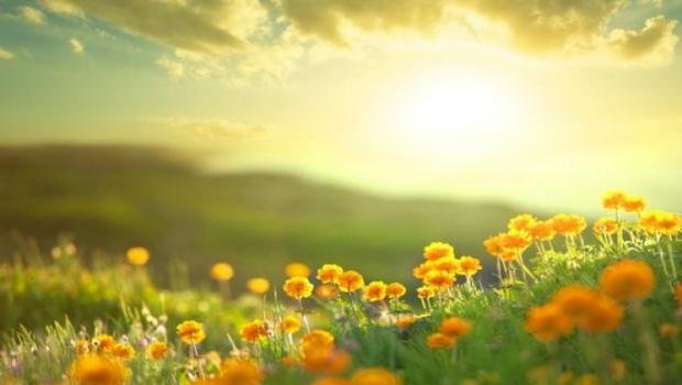  �������� ��� ������ ������ ���� ����������� 