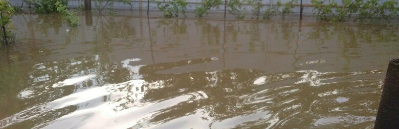  ��������� ��������� ���� ����������� ������ ���� ������� 