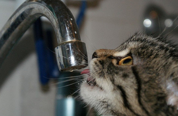 ����: 6262.com.ua