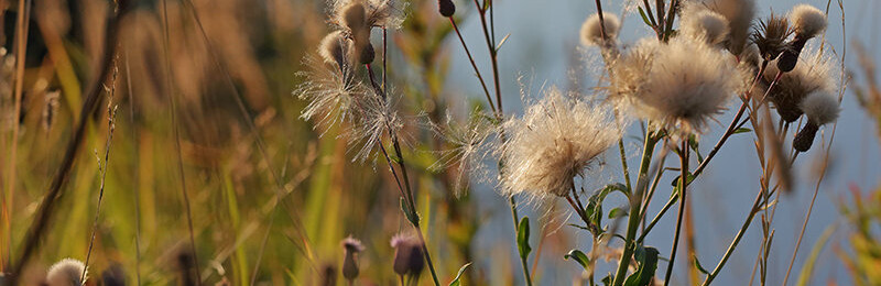 ����: 6262.com.ua