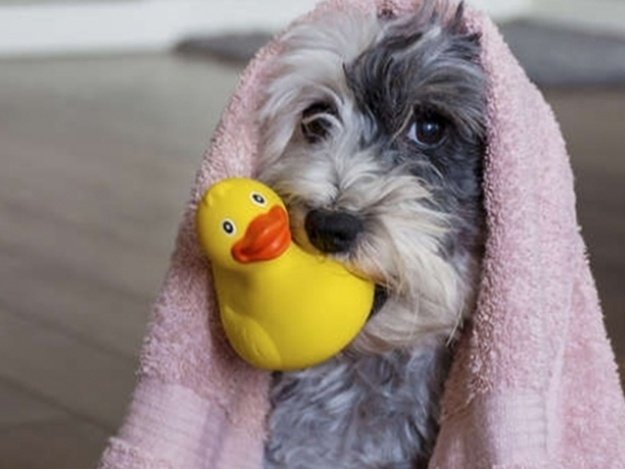  ������ ��������� �������� ���� ������ 