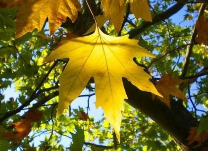  ����� ����� 2019 ������ �������� ��������� 