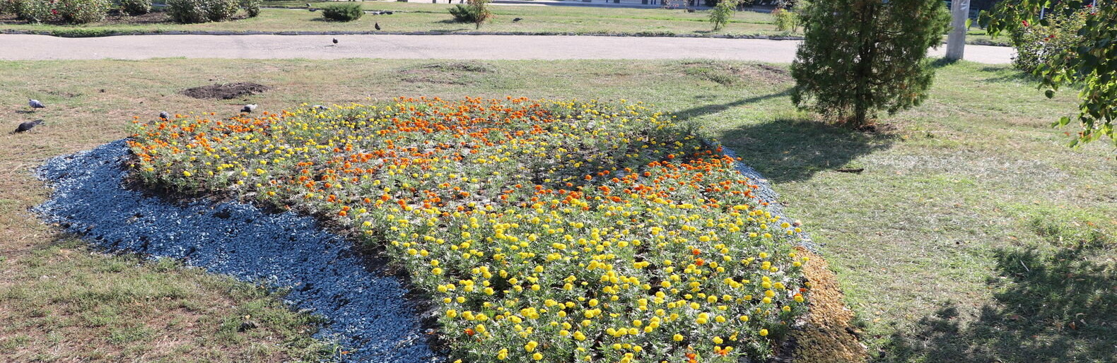 ����: 6262.com.ua