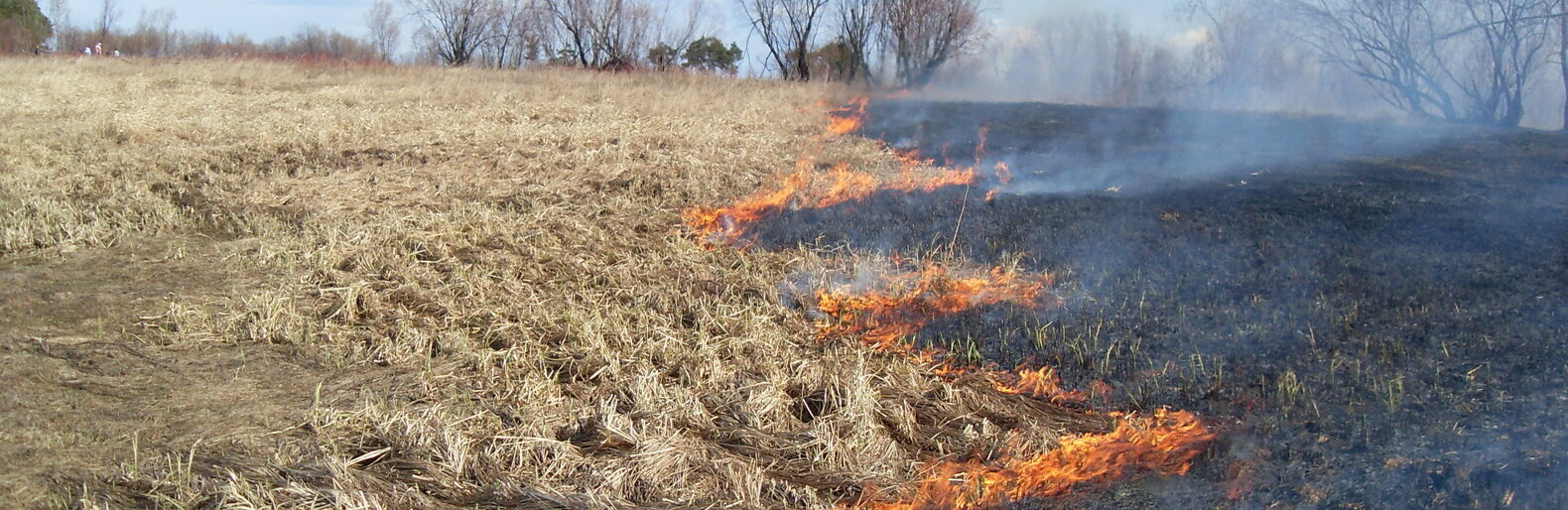 ����: 6262.com.ua