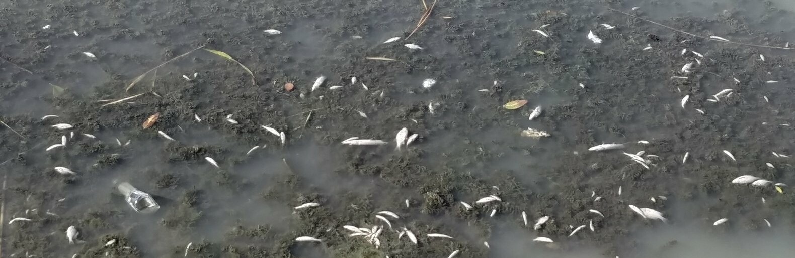  ������� ���� ������ ���� ����� ���������� �������� ������ 