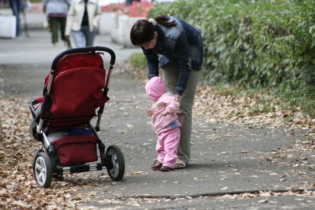  ������� ���� ��������� ������ �������� 