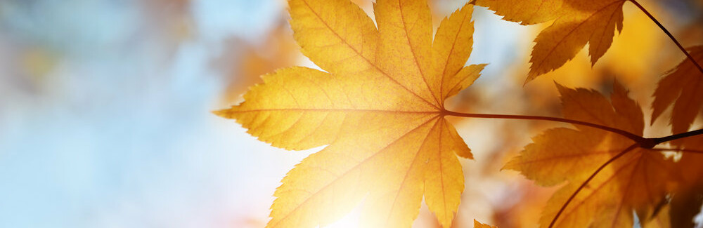 ����: 6262.com.ua