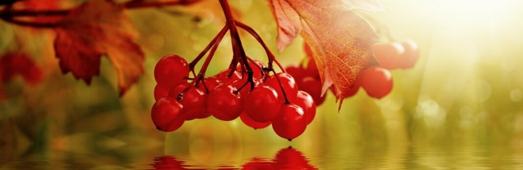  ������ ���� ������ ��� ����� ���� 