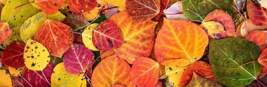  ������ ��������� ������� ������� ����� 