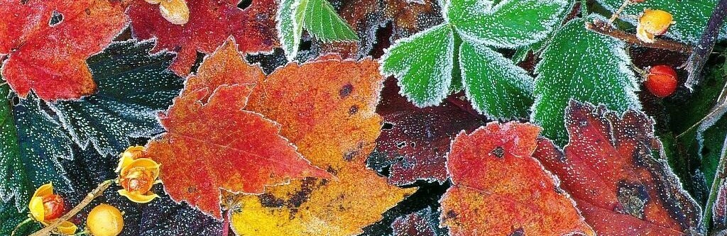 ����: 6262.com.ua