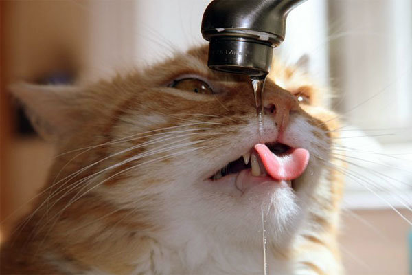  ������� ���� ������ ���� ���� ���� �������� ���������� 