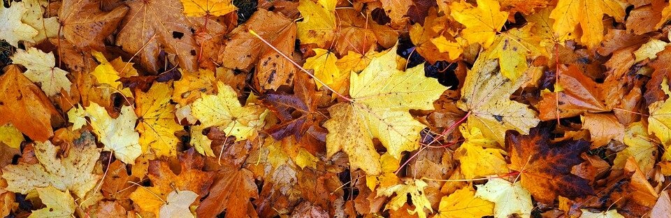  ��������� ������ ��� ������ ������ ������� 