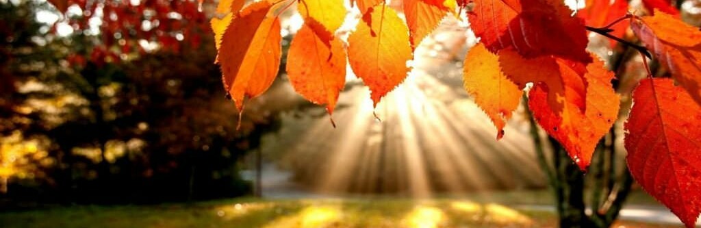  ����� �������� ������� ���������� �������� ����� ������ 