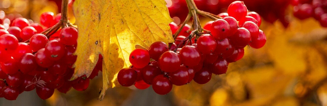  ������ ��������� �������� �������� ������� 