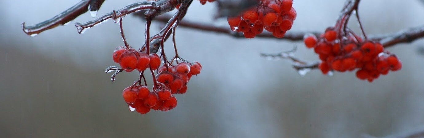 ����: 6262.com.ua