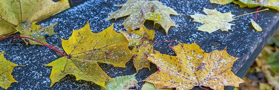 ����: 6262.com.ua