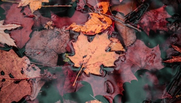 ����: 6262.com.ua