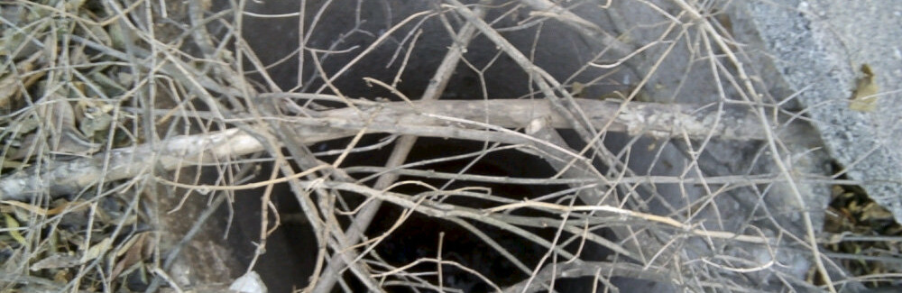 ����: 6262.com.ua