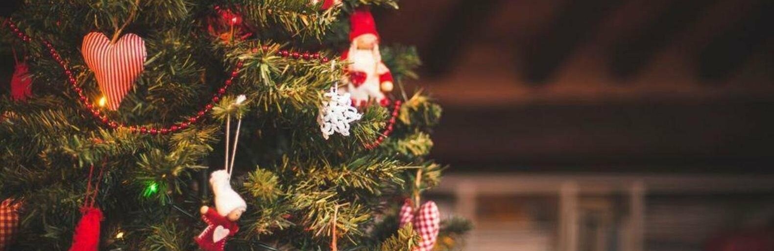  ���� ������ ��� ������ ������ 