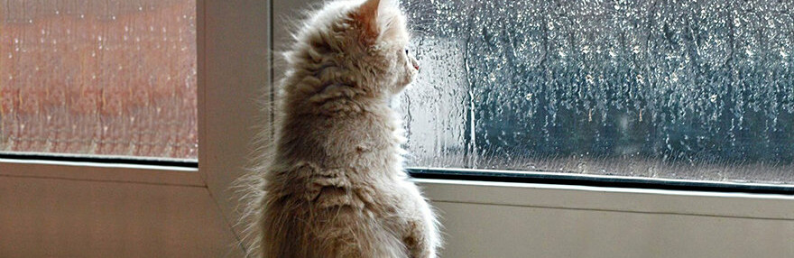 ����: 6262.com.ua