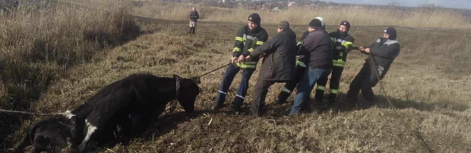  ���� ������ ������������ ��������� ������ ������ 