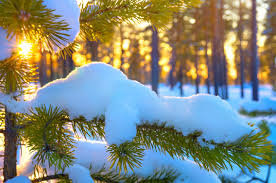 ����: 6262.com.ua