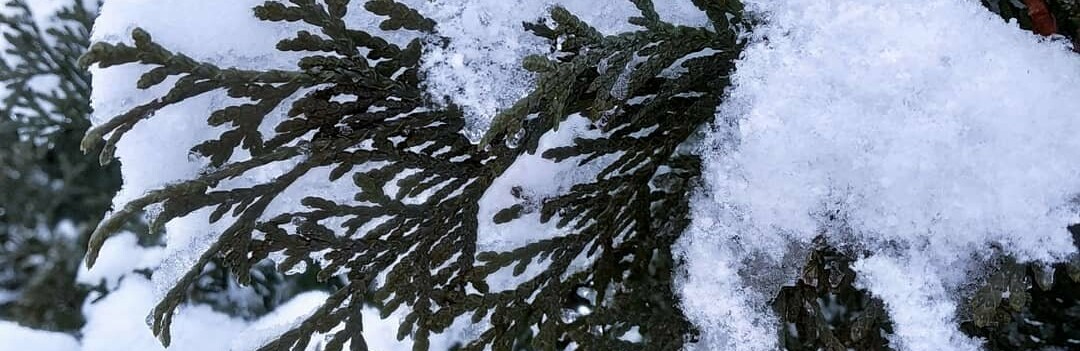  ������ ���� ������ ������� ������ ��� 