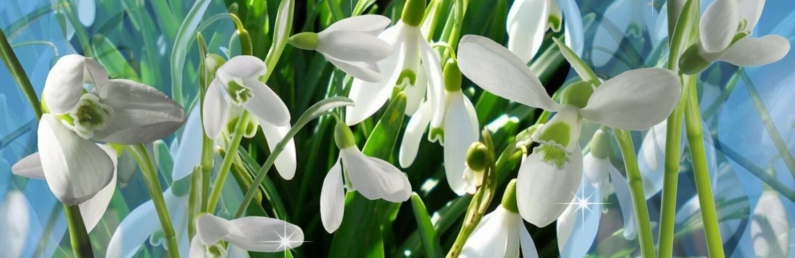  �������� ���������� ��������� ��������� 