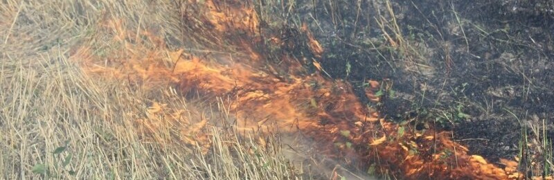  ������� ������� ���� ������ ����� ������� ��� ����� 