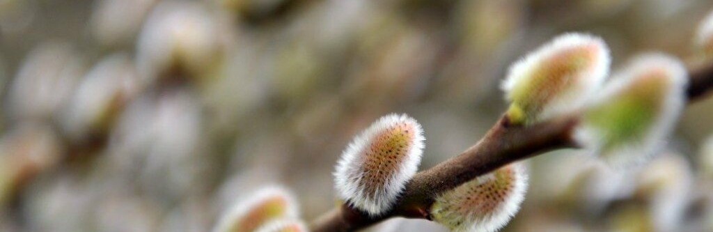 ����: 6262.com.ua