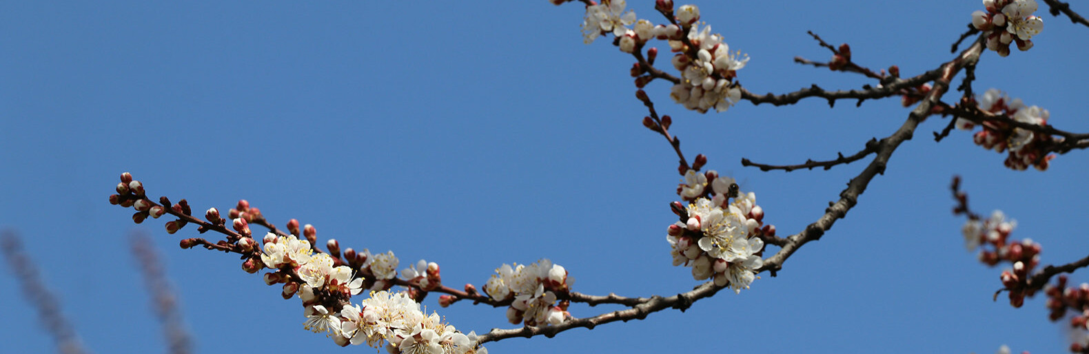  ���� ������ ������� ���� ������� 