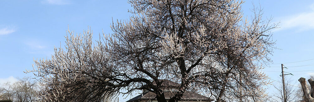  ������ ���� ������ ��� ���� 