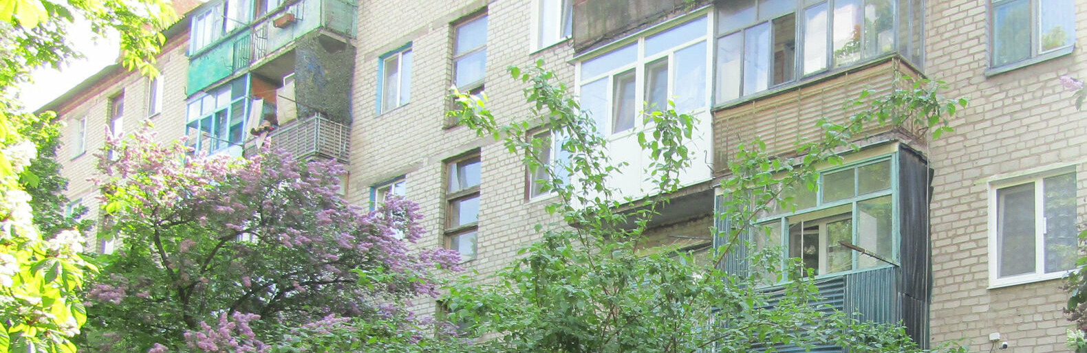  ���� ������ ������ ��������� ������� 